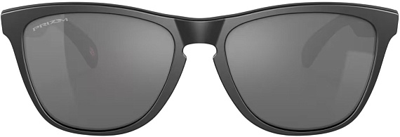 Очки Oakley Frogskins Matte Black/Prizm Black Polarized - Фото 3 большая