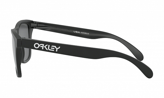 Очки Oakley Frogskins Matte Black/Prizm Black Polarized - Фото 4 большая
