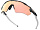 Очки Oakley Radar EV Path Heritage Colors Collection Carbon/Prizm Rose Gold - Фото 2 малая