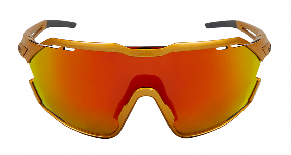 Очки Northug Gold Performance Standard Gold - Фото 3 большая