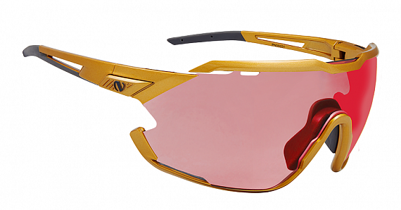 Очки Northug Gold Performance Standard Gold - Фото 4 большая