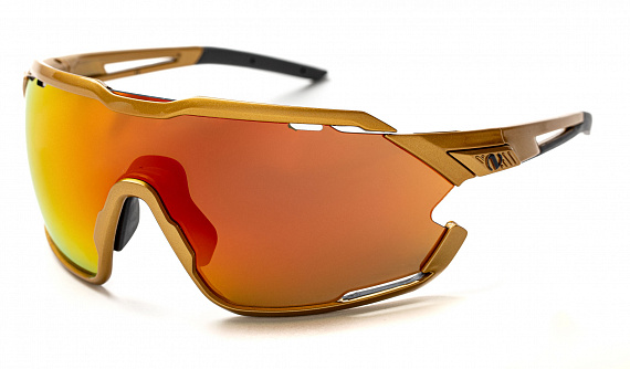 Очки Northug Gold Performance Standard Gold - Фото 5 большая