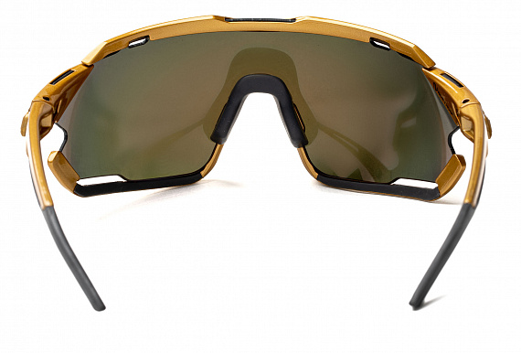 Очки Northug Gold Performance Standard Gold - Фото 7 большая