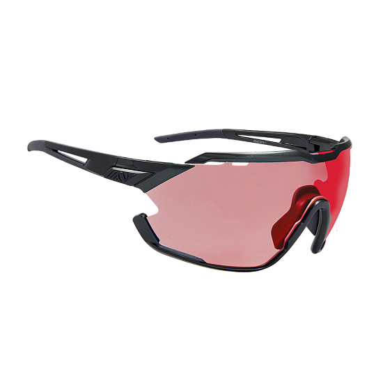 Очки Northug Gold Performance Standard Black - Фото 4 большая