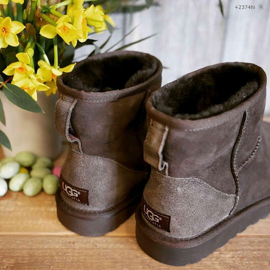Сапоги женские UGG Classic Mini II Chocolate - Фото 2 большая