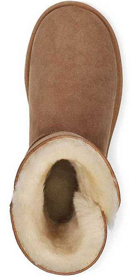 Ботинки женские UGG Bailey Zip Short Chestnut - Фото 3 большая