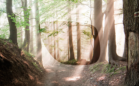 Линза для очков Northug Hc Off-Road High Standard Grey - Фото 2 большая