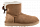 Ботинки женские UGG Mini Bailey Bow Ii Chestnut - Фото 1 малая