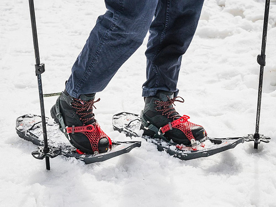 Ботинки женские Scarpa Moraine Polar Gtx Dark Anthracite/Coral - Фото 8 большая