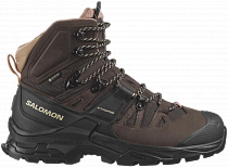 Ботинки женские Salomon Quest 4 Gtx Shopping Bag/Black/Cork