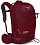Рюкзак женский Osprey Kresta 20 Rosewood Red - Фото 1 малая