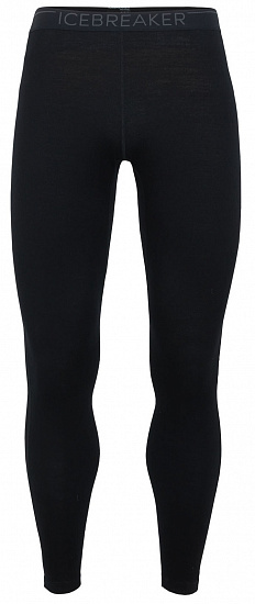 Кальсоны мужские Icebreaker 260 Tech Leggings Black/Monsoon - Фото 1 большая