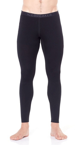 Кальсоны мужские Icebreaker 260 Tech Leggings Black/Monsoon - Фото 2 большая
