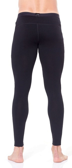 Кальсоны мужские Icebreaker 260 Tech Leggings Black/Monsoon - Фото 3 большая