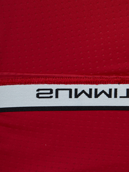 Кальсоны The North Face Summit Advanced Mountain Kit L1 Cardinal Red - Фото 6 большая