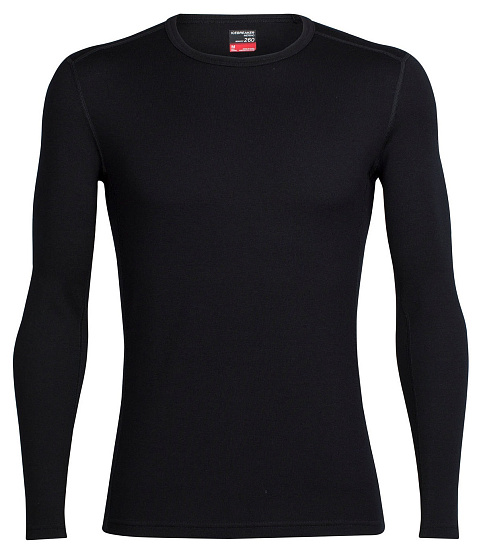 Футболка мужская Icebreaker Tech Top LS Crewe Black - Фото 1 большая