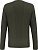 Лонгслив мужской Salewa Pedroc Dry Dark Olive - Фото 2 малая