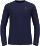 Лонгслив мужской Odlo Zeroweight Chill-Tec Crew Neck LS Eclipse - Фото 1 малая