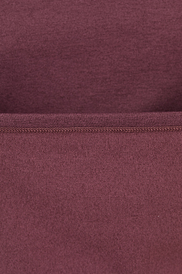 Пулон женский Arcteryx Motus Ar Hoody Rhapsody Heather - Фото 8 большая