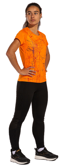 Футболка женская Joma Elite IX Orange - Фото 6 большая