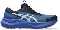 Кроссовки женские ASICS Gt-2000 14 Lite Show/Dark Cobalt