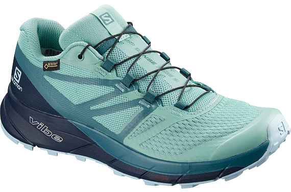 Кроссовки женские Salomon Sense Ride 2 GTX Invis Fit Nile Blue/Navy Blazer/Mallard Blue - Фото 1 большая