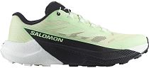 Кроссовки женские Salomon Pulsar Patina Green/White/Black