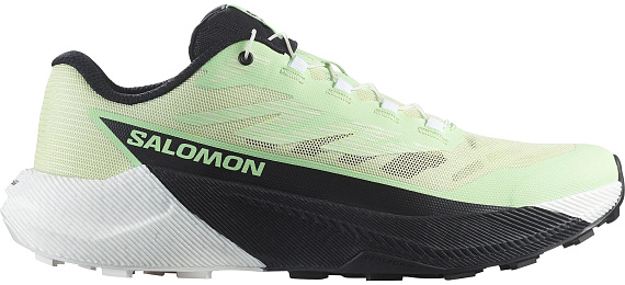 Кроссовки женские Salomon Pulsar Patina Green/White/Black - Фото 1 большая