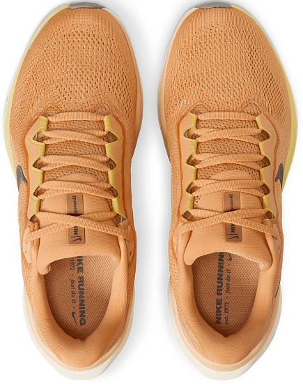 Кроссовки женские Nike Air Zoom Pegasus 41 Copper Moon/Cave Stone/Saturn Gold - Фото 5 большая