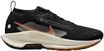 Кроссовки женские Nike Pegasus Trail 5 Gtx Off Noir/Pale Ivory/Black/Monarch