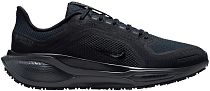 Кроссовки женские Nike Air Zoom Pegasus 41 Gtx Black/Black/Anthracite