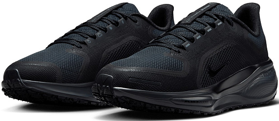 Кроссовки женские Nike Air Zoom Pegasus 41 Gtx Black/Black/Anthracite - Фото 2 большая