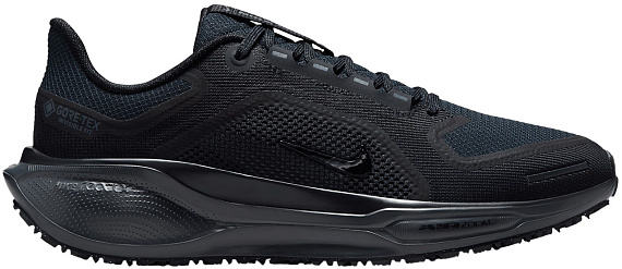 Кроссовки женские Nike Air Zoom Pegasus 41 Gtx Black/Black/Anthracite - Фото 1 большая