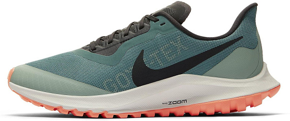 Кроссовки женские Nike Zoom Pegasus 36 Trail GTX Bicoastal/Off Noir/Silver Pine - Фото 3 большая