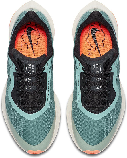 Кроссовки женские Nike Zoom Pegasus 36 Trail GTX Bicoastal/Off Noir/Silver Pine - Фото 6 большая