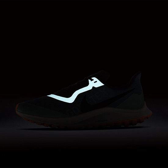 Кроссовки женские Nike Zoom Pegasus 36 Trail GTX Bicoastal/Off Noir/Silver Pine - Фото 9 большая
