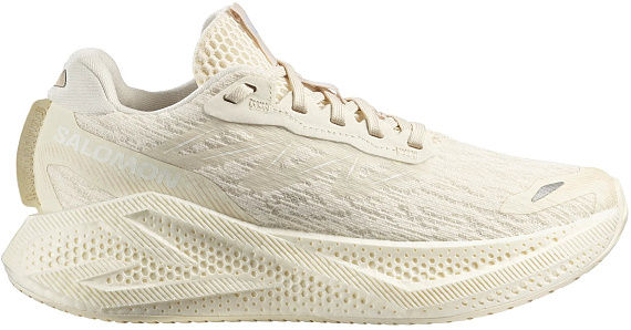 Кроссовки женские Salomon Aero Glide 4 Vanilla Ice/Vanilla Ice/White - Фото 1 большая