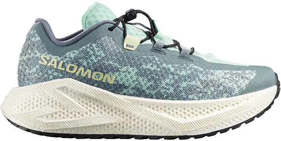 Кроссовки женские Salomon Aero Glide 4 Grvl Stormy Weather/Lichen/Vanilla Ice - Фото 1 большая