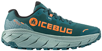 Кроссовки женские Icebug Arcus 2 Rb9X Gtx Sea Moss/Coral
