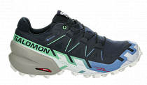 Кроссовки женские Salomon Speedcross 6 Gtx Carbon/Provence/White