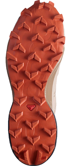 Кроссовки женские Salomon Speedcross 5 GTX Sirocco/Moc - Фото 4 большая