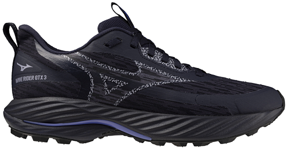 Кроссовки женские Mizuno Wave Rider Gtx 3 Odyssey Gray/Icelandic Blue/Ir - Фото 1 большая