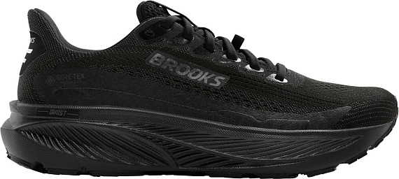 Кроссовки женские Brooks Ghost 17 Gtx Black/Black/Ebony - Фото 1 большая