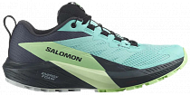 Кроссовки женские Salomon Sense Ride 5 Gtx Blue Radiance/Green Ash/India Ink