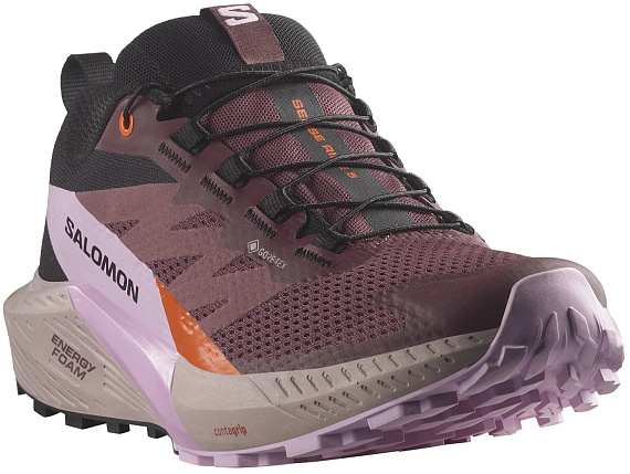 Кроссовки женские Salomon Sense Ride 5 Gtx Catawba Grape/Orchid Bouquet/Cherry Tomato - Фото 6 большая