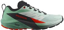 Кроссовки женские Salomon Sense Ride 5 Bay/Black/Cherry Tomato