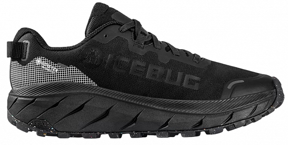Кроссовки женские Icebug Arcus 2 RB9X Gtx W TrueBlack - Фото 1 большая