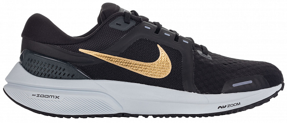 Кроссовки женские Nike Air Zoom Vomero 16 Black/Dark Smoke Grey/Pure Platinum/Metallic Gold Coin - Фото 1 большая