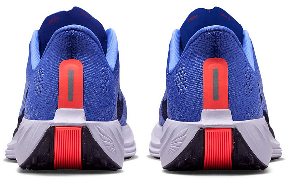 Кроссовки женские Nike Pegasus Plus Sapphire/Light Thistle/Violet Mist/Purple Dynasty - Фото 5 большая