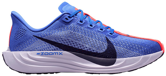 Кроссовки женские Nike Pegasus Plus Sapphire/Light Thistle/Violet Mist/Purple Dynasty - Фото 1 большая